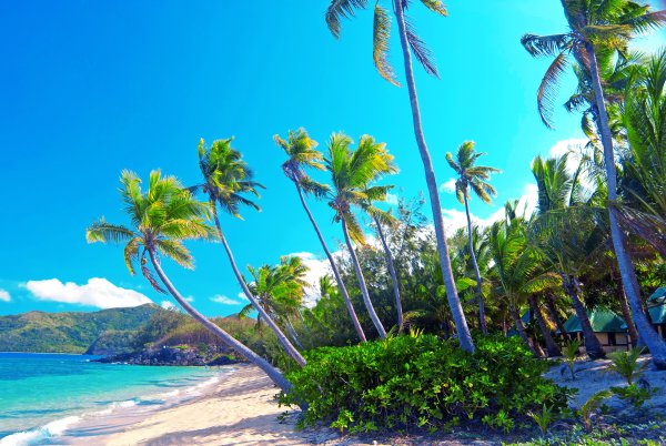Тропики пляж