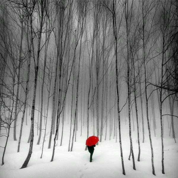 Зимнее одиночество