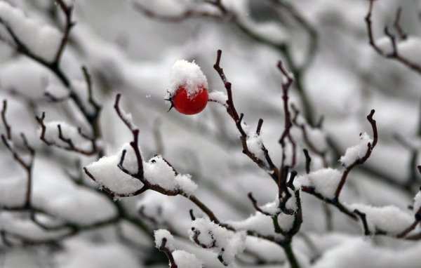 Зимнее одинокое настроение