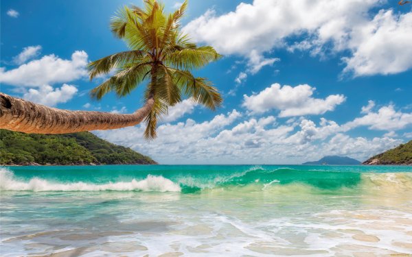 Тропическое море