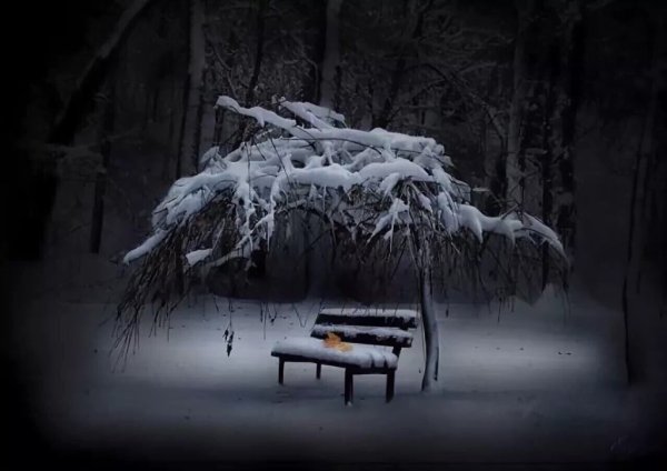 Одиночество в зимнюю ночь