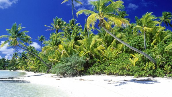 Тропические острова Карибского моря