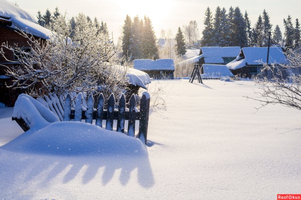 Снег в селе