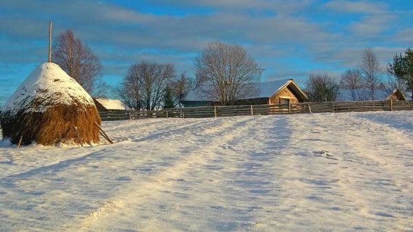 Деревня первый снег осень