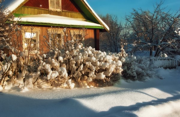 Заснеженные дворы в деревне