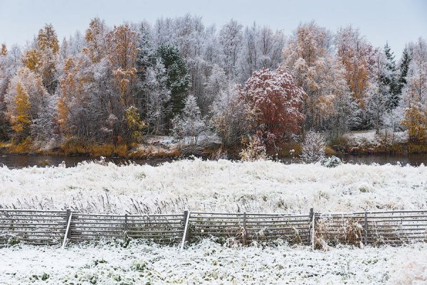 Первый снег в деревне