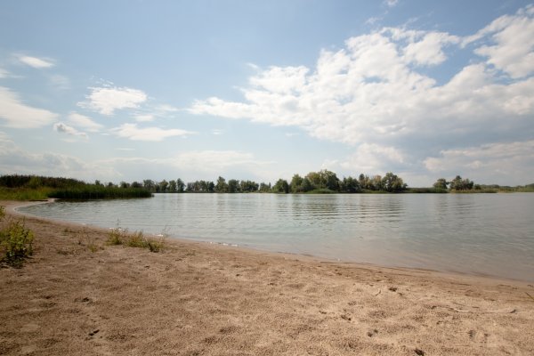 СХИ Энгельс Волга