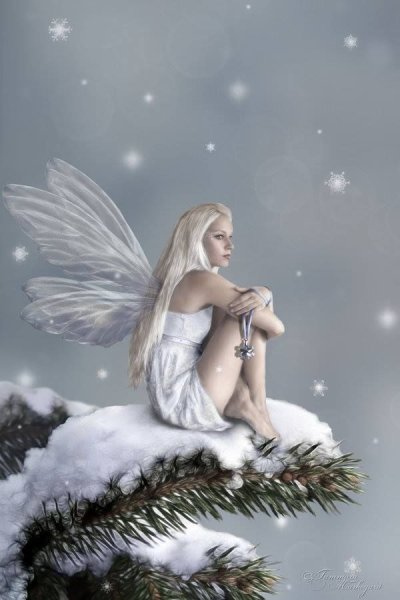 Фея зимы