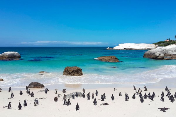 Пляж Боулдерс ЮАР