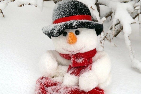 Самый красивый Снеговик