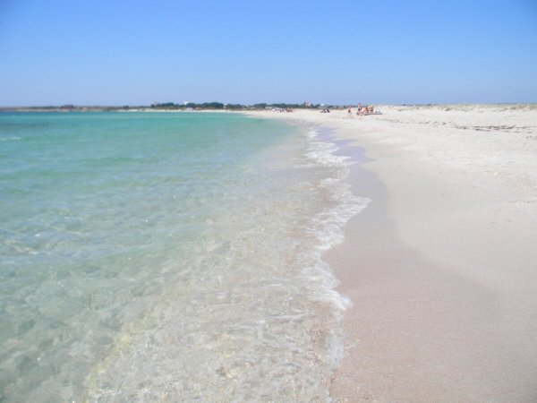 Майами Бич Оленевка