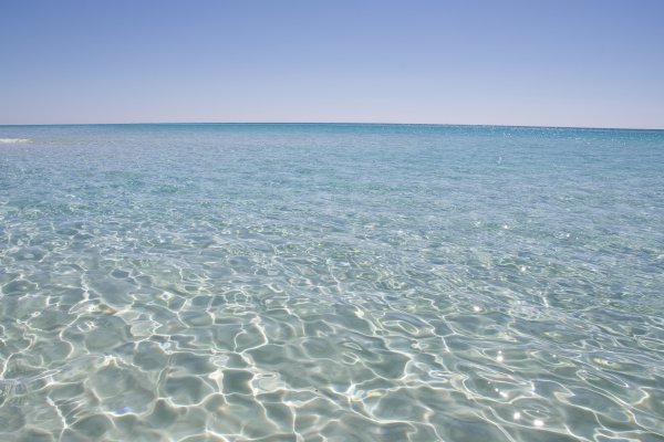 Черноморское-Оленевка пляж