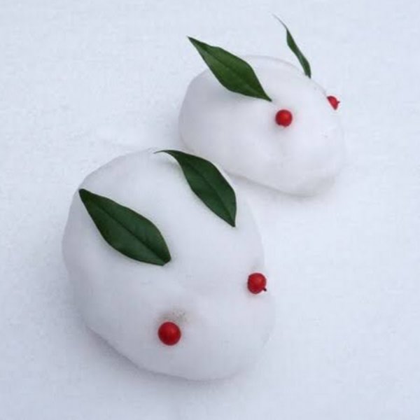 Снежный кролик