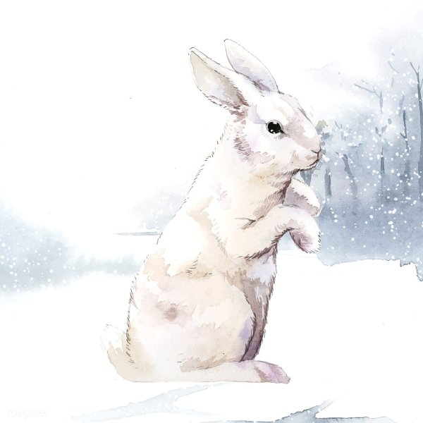 Акварельный зимний заяц