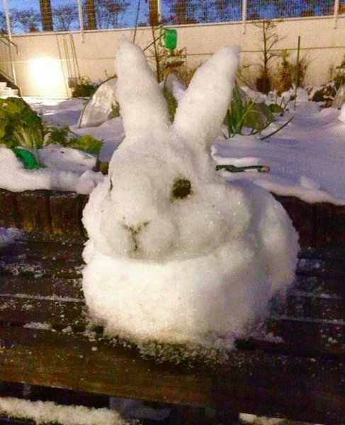 Заяц из снега