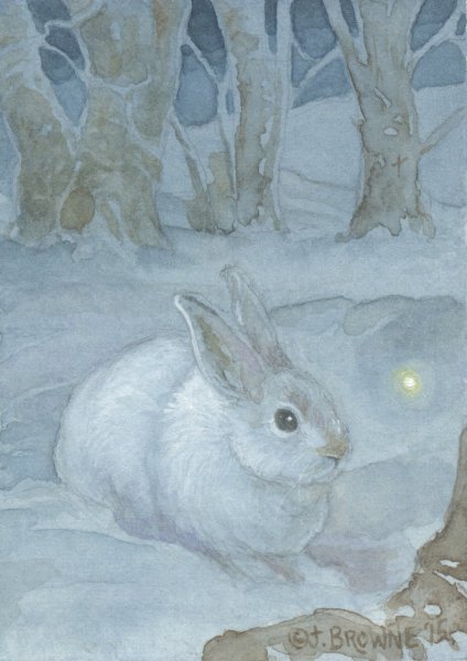Заяц на снегу рисование
