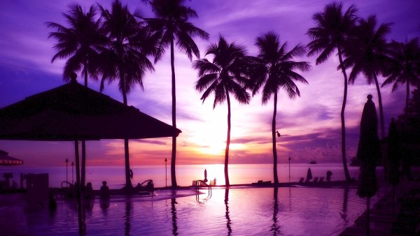 Пальмы фиолетовый закат