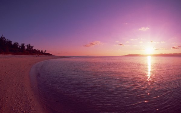 Розовый рассвет