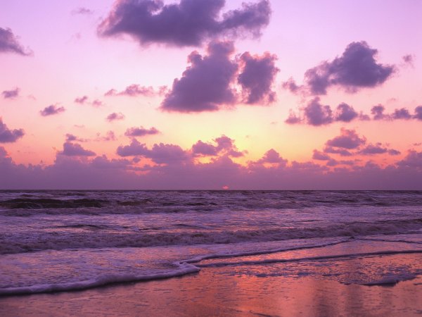 Розовый закат