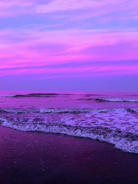 Розовое море