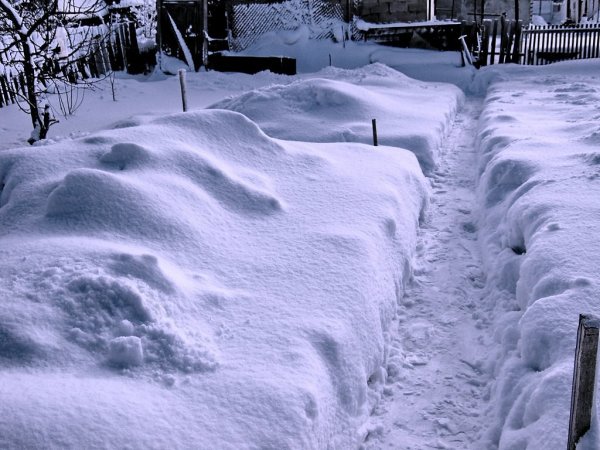 Дорожки от снега