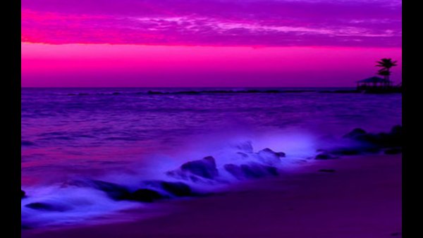Цвет малиново сиреневый моря