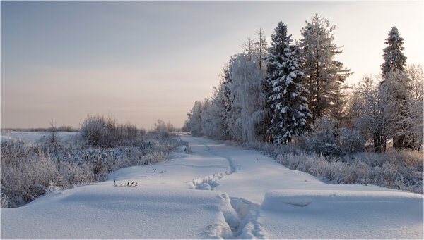Тропинка в сугробе