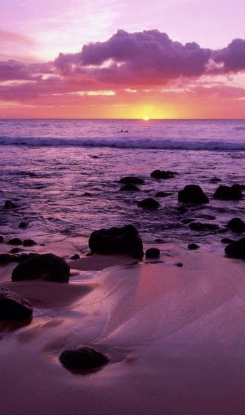 Фиолетовое море