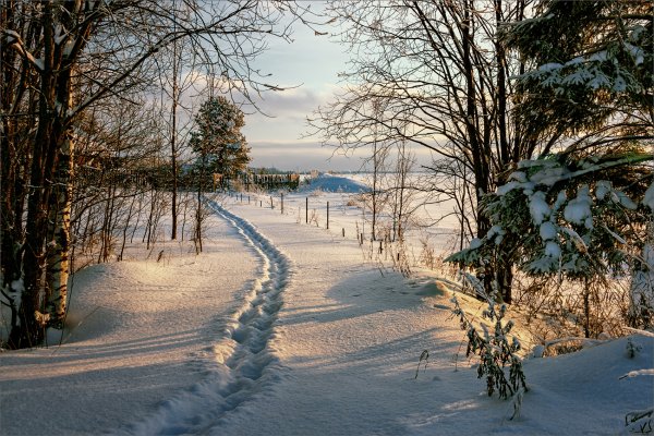 Заснеженная тропинка