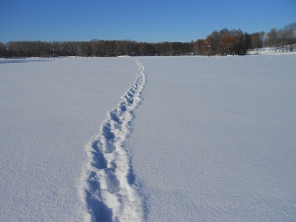 Дорожка в снегу