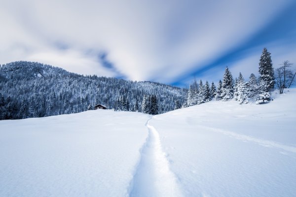 Снежная тропа