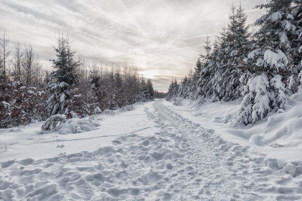 Снежная тропинка