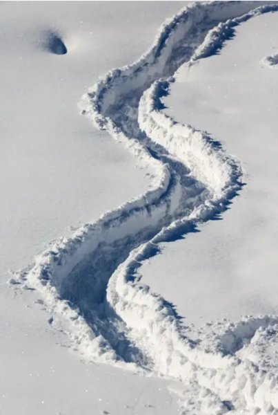 Тропинка в сугробе