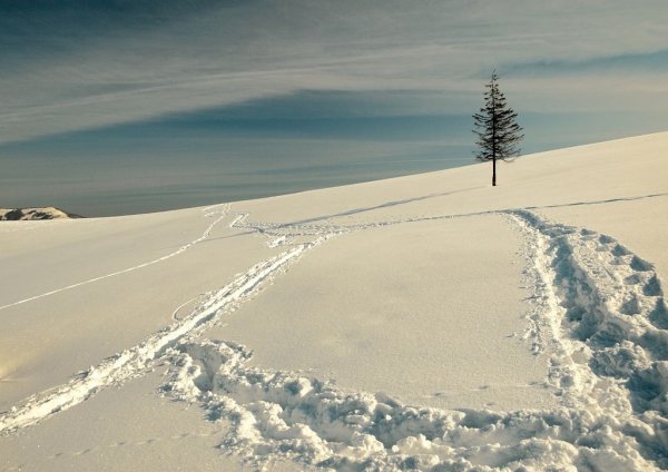 Снежная тропа