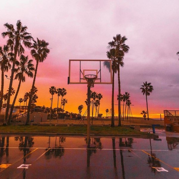 Венис Бич баскетбольная площадка