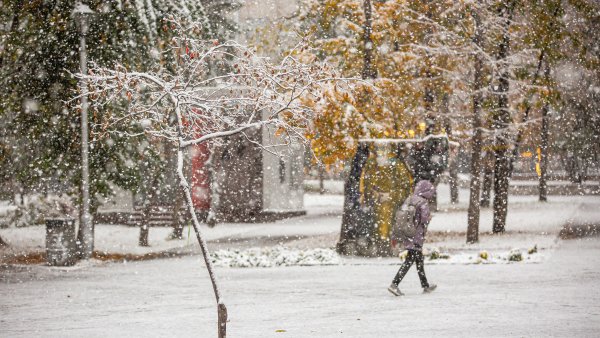 Ноябрь первый снег