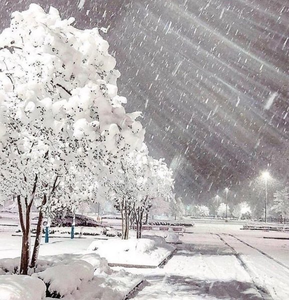 Дождь зимой