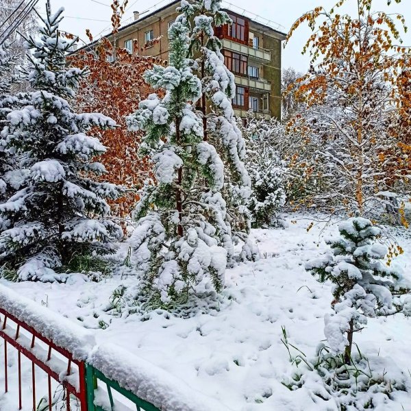 Первый снег в Красноярске