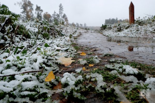 Снег в Подмосковье