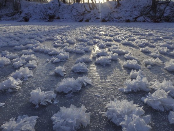 Ледяные цветы на Раифском озере