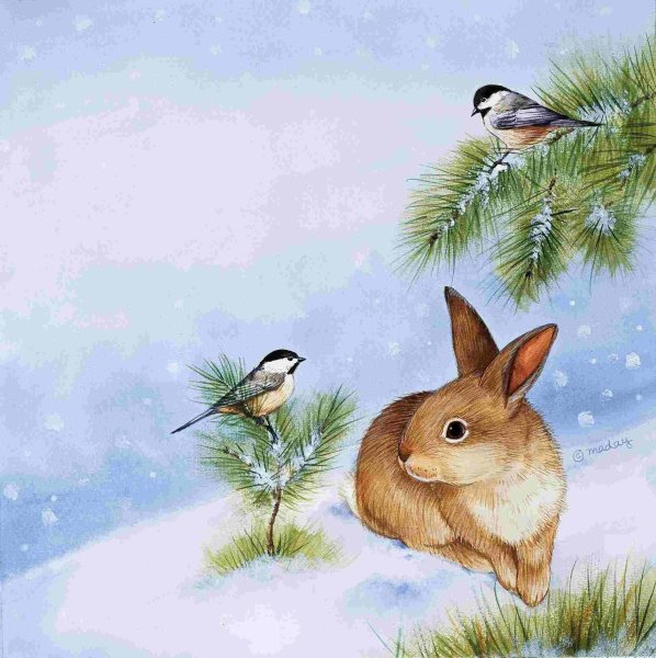 Лесные звери и птицы