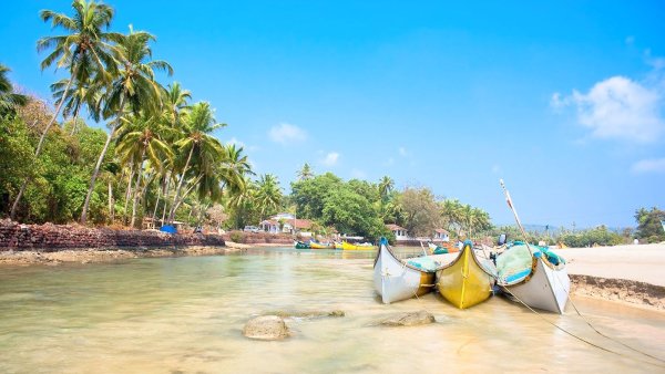 Отдых на Гоа в январе 2023