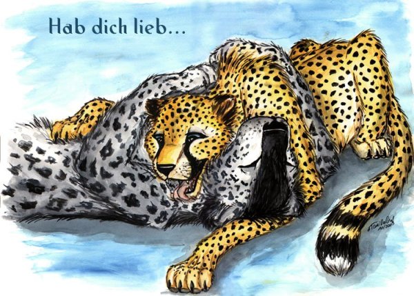 Фурри гепард и снежный Барс