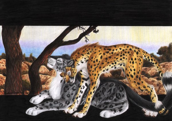 Фурри гепард и снежный Барс