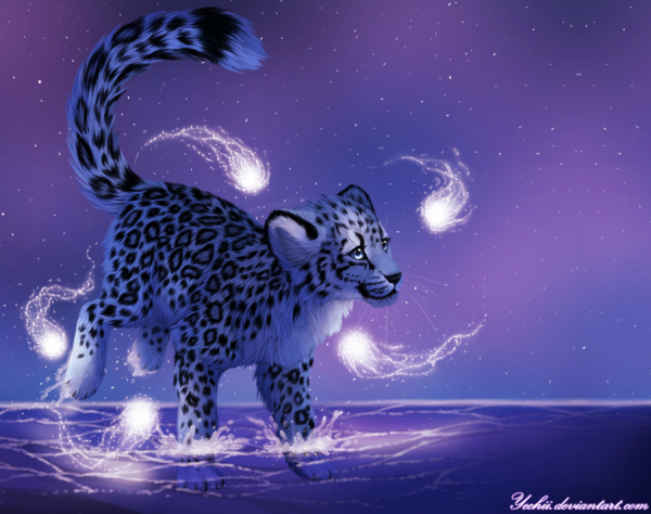 Волшебный леопард