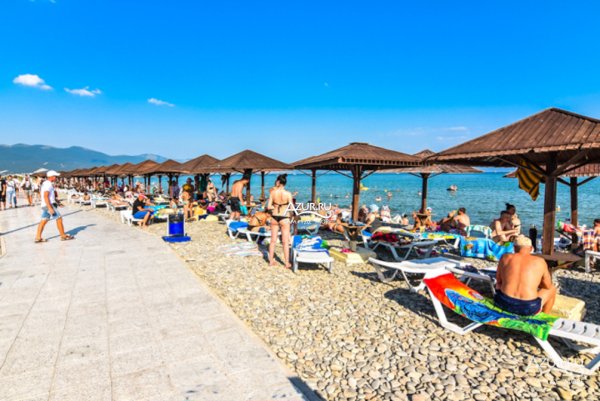 Море Новороссийск Алексино