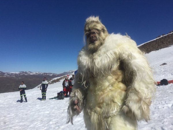 Йети в Гималаях