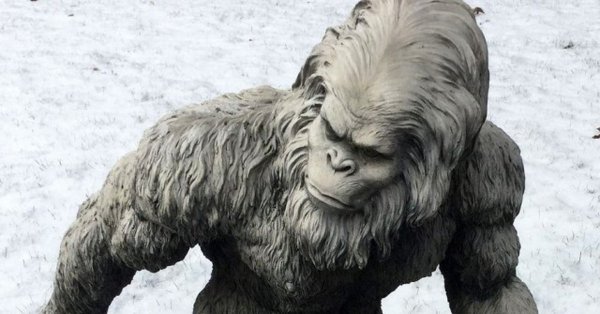 Йетти Халупецкой