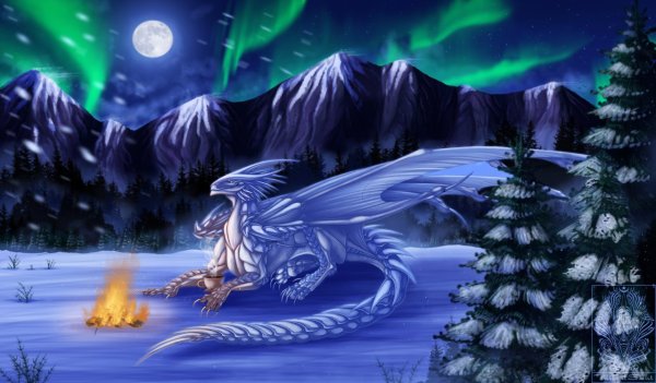 Снежный дракон 1