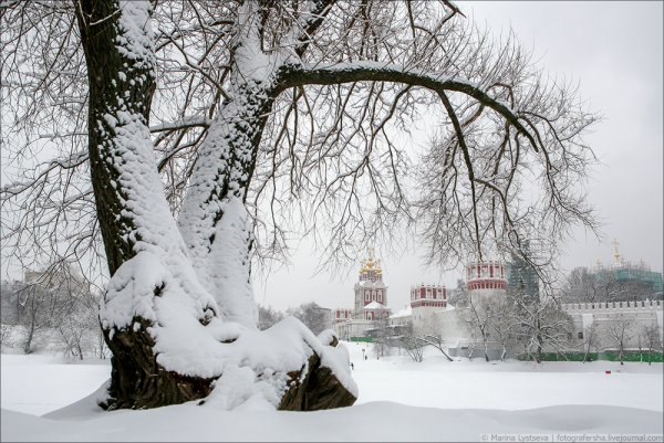 Легкий снег в Москве